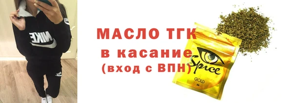 дурь Инта