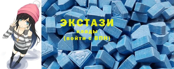 дурь Инта