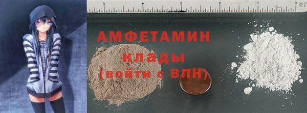 дурь Инта